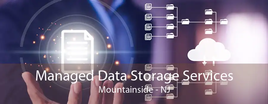 Managed Data Storage Services Mountainside - NJ