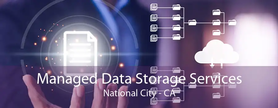 Managed Data Storage Services National City - CA