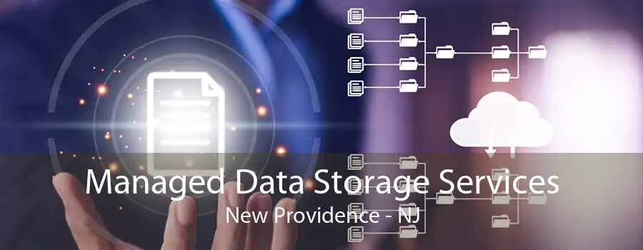 Managed Data Storage Services New Providence - NJ