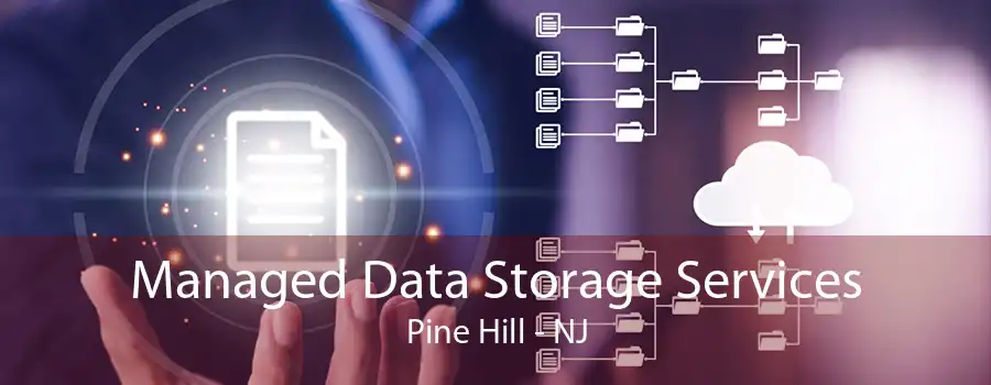 Managed Data Storage Services Pine Hill - NJ