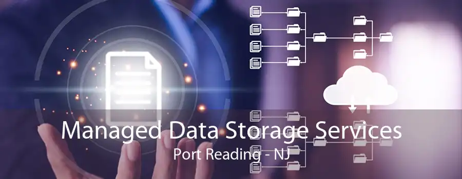 Managed Data Storage Services Port Reading - NJ