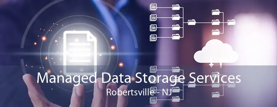 Managed Data Storage Services Robertsville - NJ