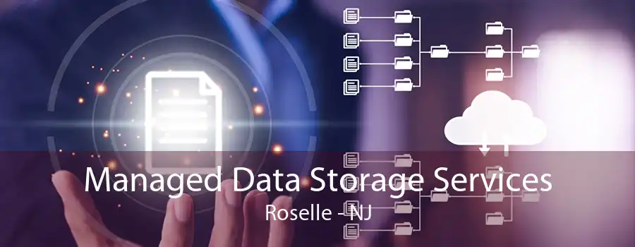 Managed Data Storage Services Roselle - NJ