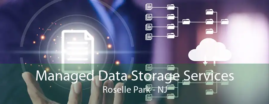 Managed Data Storage Services Roselle Park - NJ