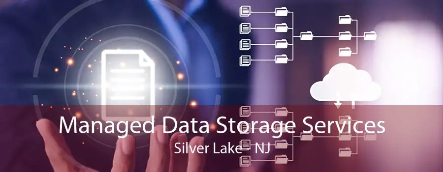 Managed Data Storage Services Silver Lake - NJ