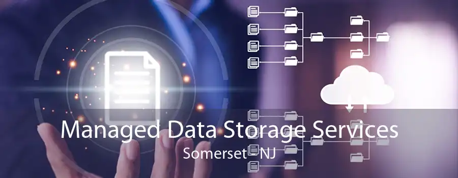 Managed Data Storage Services Somerset - NJ