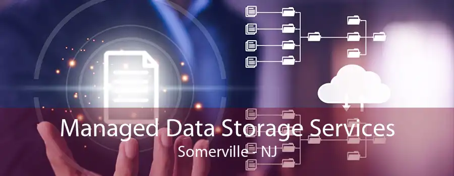 Managed Data Storage Services Somerville - NJ