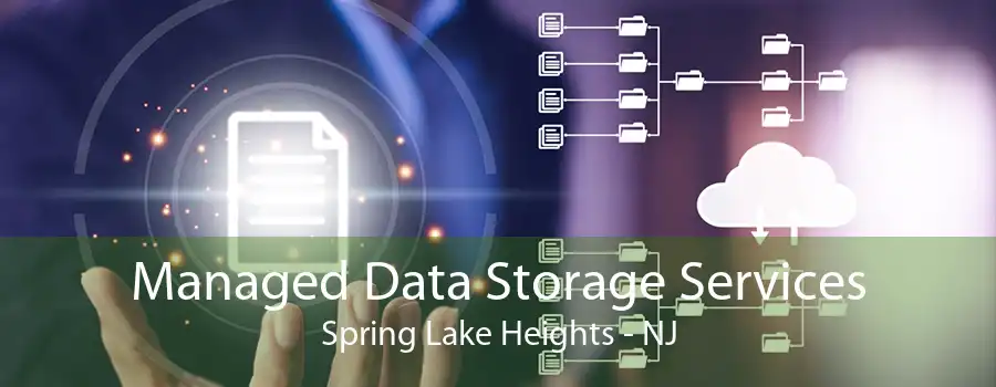 Managed Data Storage Services Spring Lake Heights - NJ