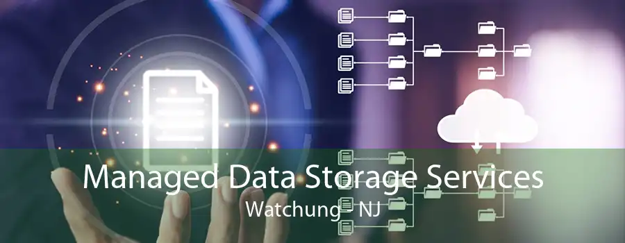 Managed Data Storage Services Watchung - NJ