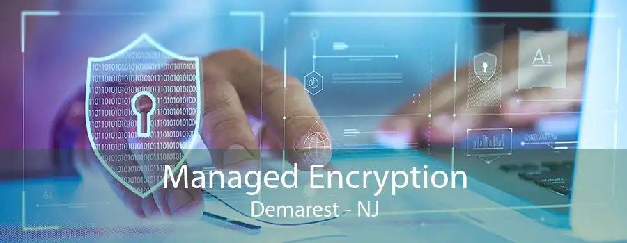 Managed Encryption Demarest - NJ