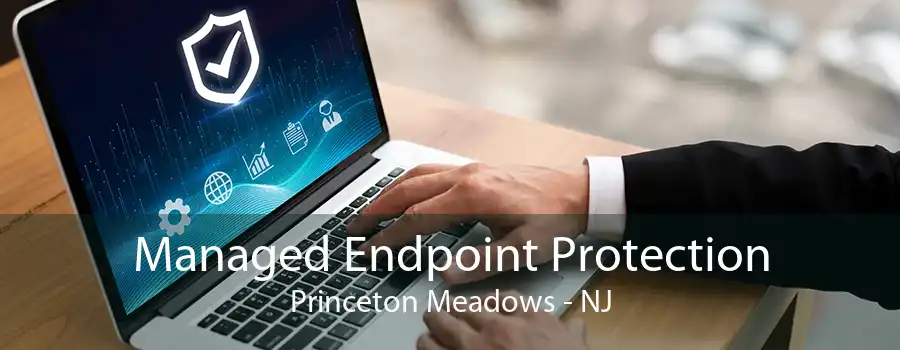 Managed Endpoint Protection Princeton Meadows - NJ