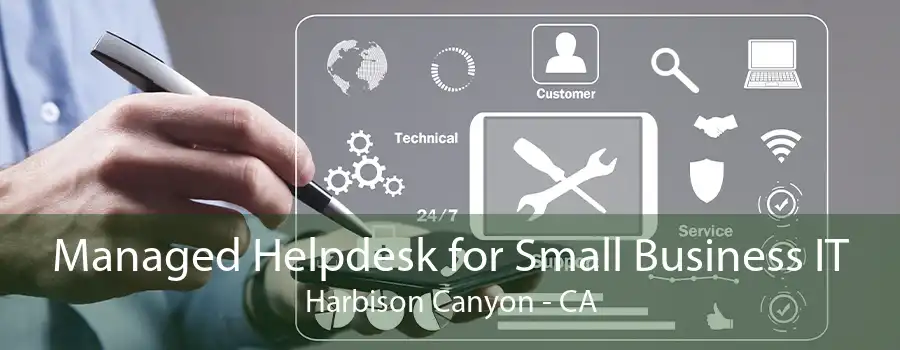 Managed Helpdesk for Small Business IT Harbison Canyon - CA