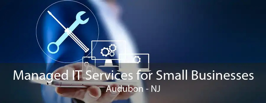 Managed IT Services for Small Businesses Audubon - NJ