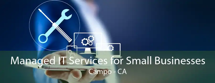 Managed IT Services for Small Businesses Campo - CA