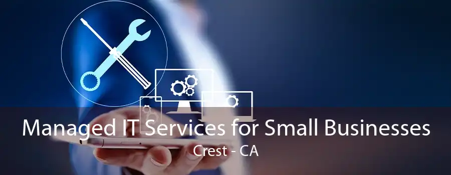 Managed IT Services for Small Businesses Crest - CA