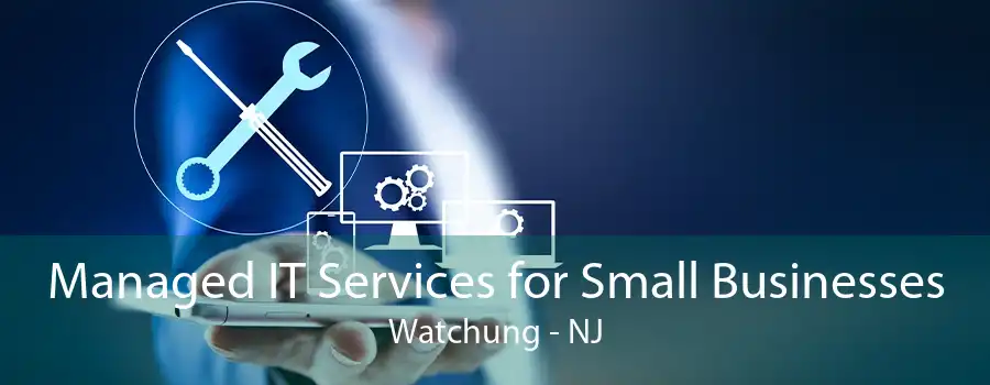Managed IT Services for Small Businesses Watchung - NJ