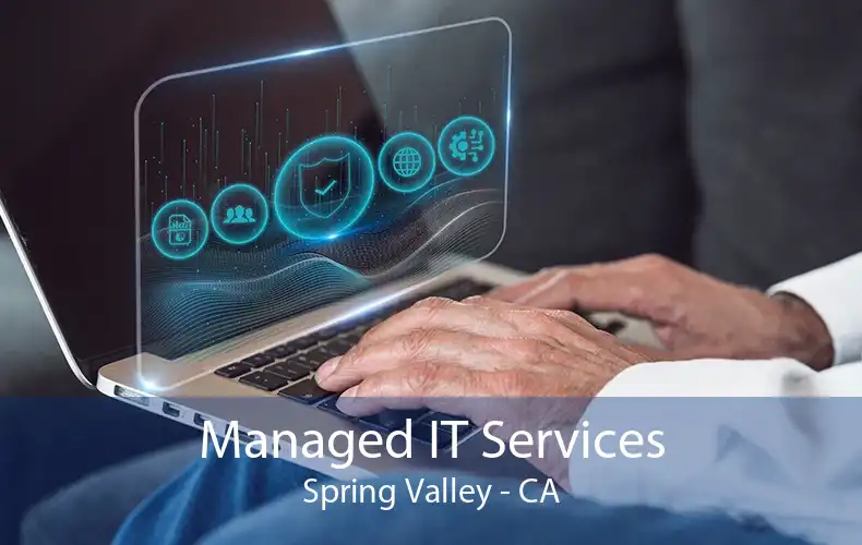 Managed IT Services Spring Valley - CA