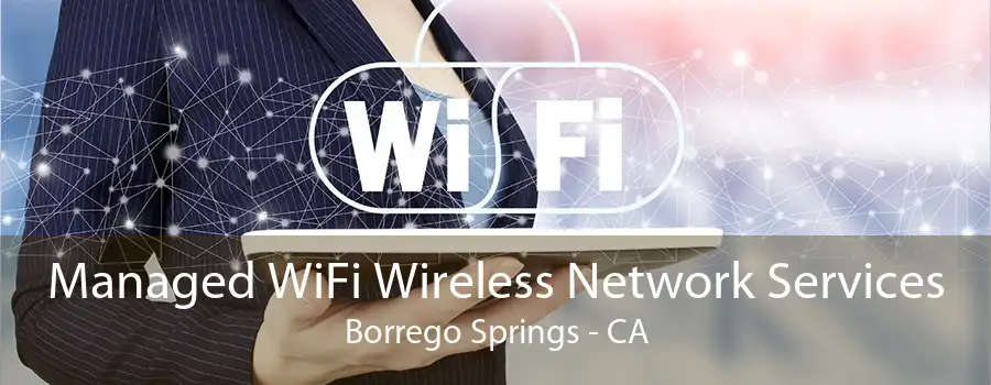 Managed WiFi Wireless Network Services Borrego Springs - CA