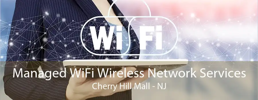 Managed WiFi Wireless Network Services Cherry Hill Mall - NJ