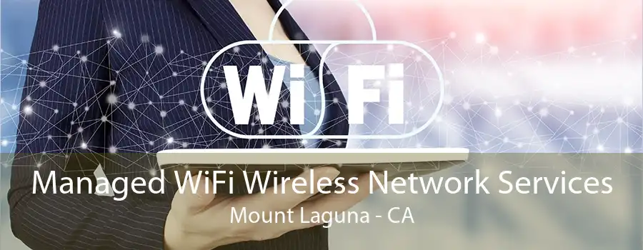 Managed WiFi Wireless Network Services Mount Laguna - CA