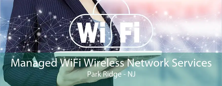 Managed WiFi Wireless Network Services Park Ridge - NJ