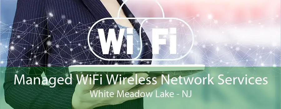 Managed WiFi Wireless Network Services White Meadow Lake - NJ