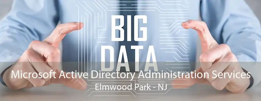 Microsoft Active Directory Administration Services Elmwood Park - NJ