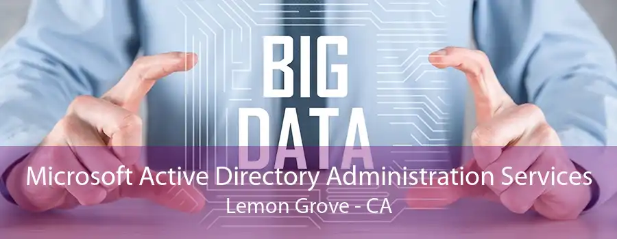 Microsoft Active Directory Administration Services Lemon Grove - CA