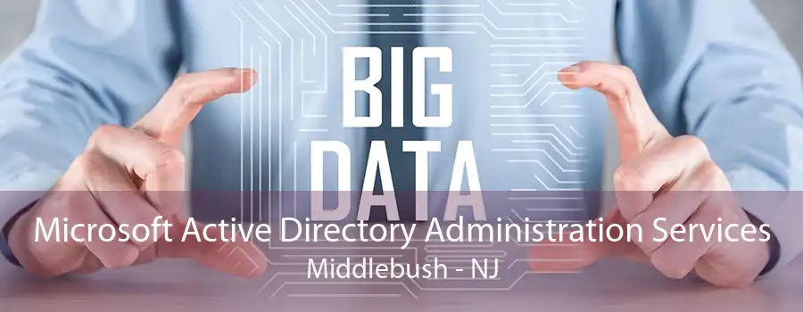 Microsoft Active Directory Administration Services Middlebush - NJ