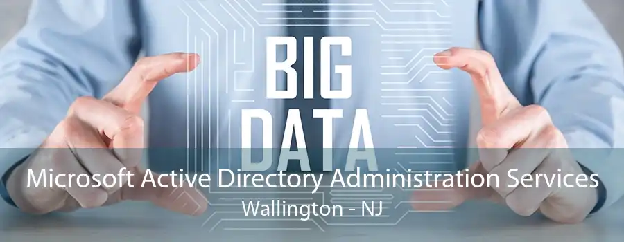 Microsoft Active Directory Administration Services Wallington - NJ