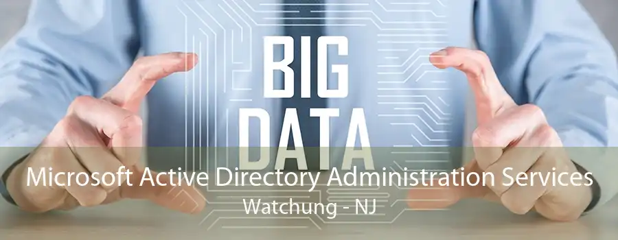Microsoft Active Directory Administration Services Watchung - NJ
