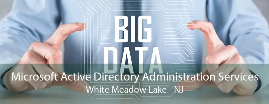 Microsoft Active Directory Administration Services White Meadow Lake - NJ