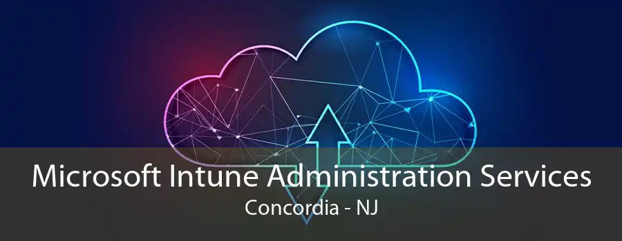 Microsoft Intune Administration Services Concordia - NJ