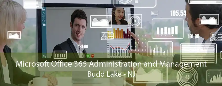 Microsoft Office 365 Administration and Management Budd Lake - NJ