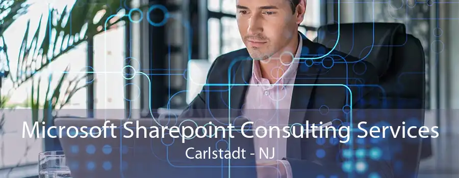 Microsoft Sharepoint Consulting Services Carlstadt - NJ
