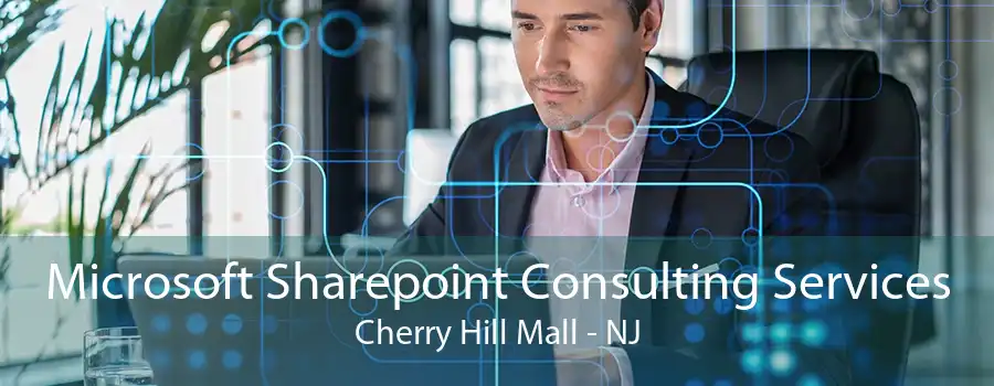 Microsoft Sharepoint Consulting Services Cherry Hill Mall - NJ