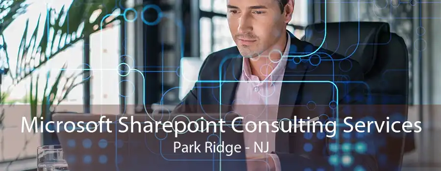 Microsoft Sharepoint Consulting Services Park Ridge - NJ