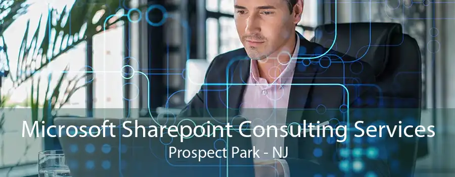 Microsoft Sharepoint Consulting Services Prospect Park - NJ