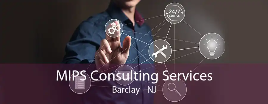 MIPS Consulting Services Barclay - NJ