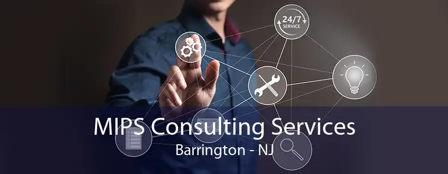 MIPS Consulting Services Barrington - NJ