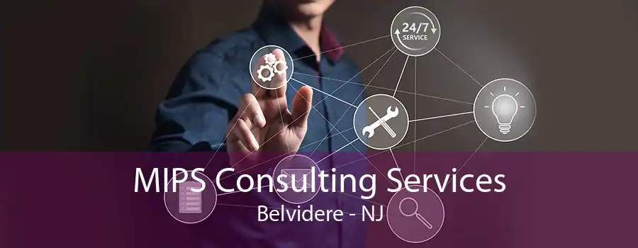 MIPS Consulting Services Belvidere - NJ