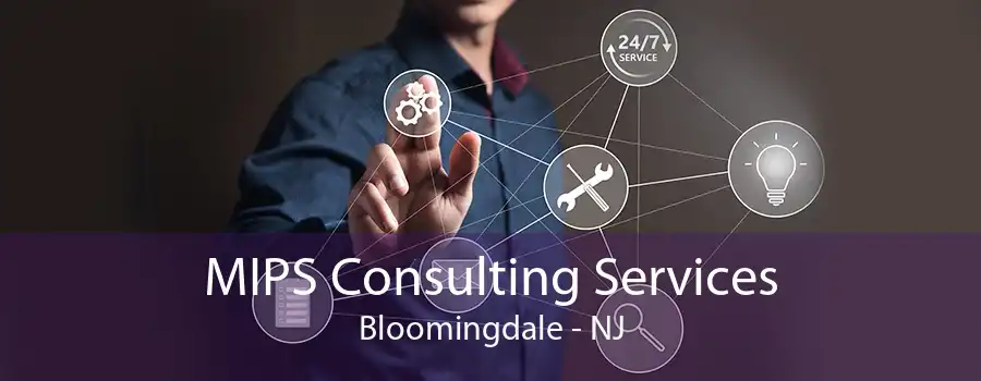 MIPS Consulting Services Bloomingdale - NJ