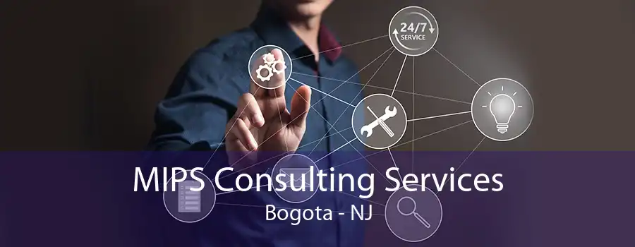 MIPS Consulting Services Bogota - NJ