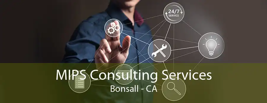 MIPS Consulting Services Bonsall - CA