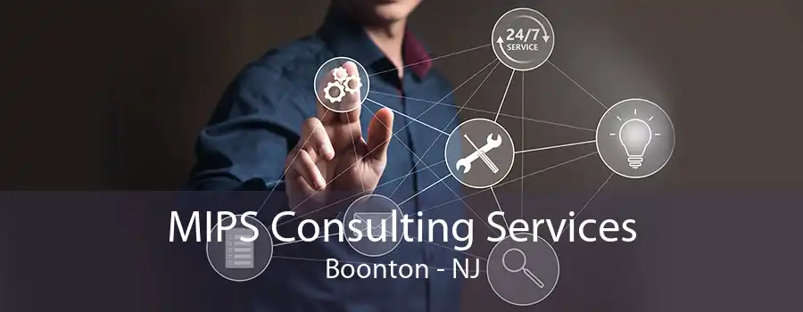 MIPS Consulting Services Boonton - NJ