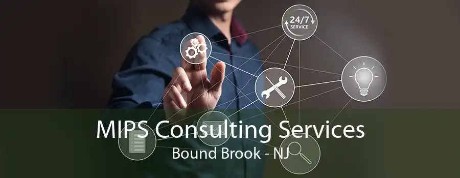 MIPS Consulting Services Bound Brook - NJ