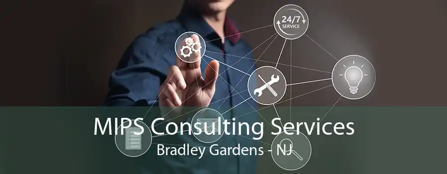 MIPS Consulting Services Bradley Gardens - NJ