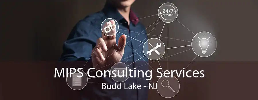 MIPS Consulting Services Budd Lake - NJ