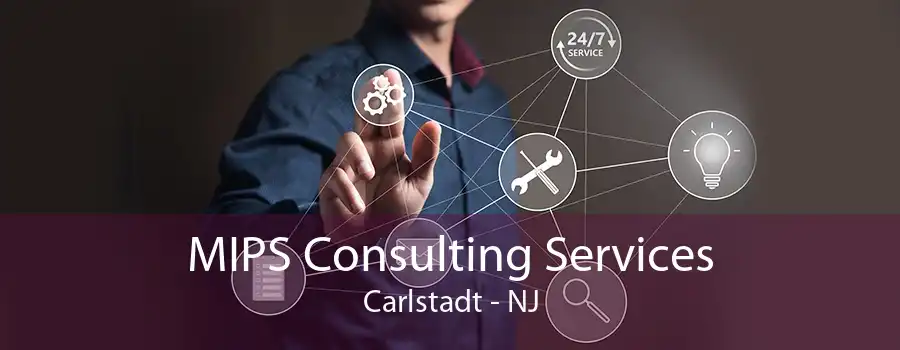 MIPS Consulting Services Carlstadt - NJ