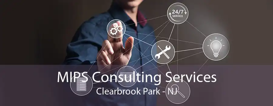 MIPS Consulting Services Clearbrook Park - NJ